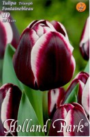 Lalele Fontainebleau